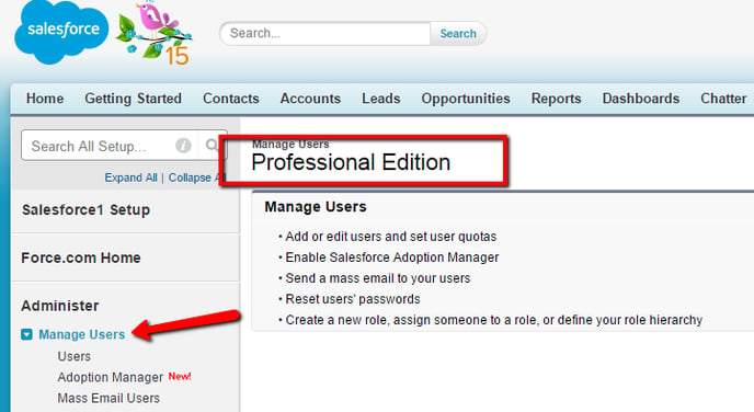 salesforce_professional_edition_2